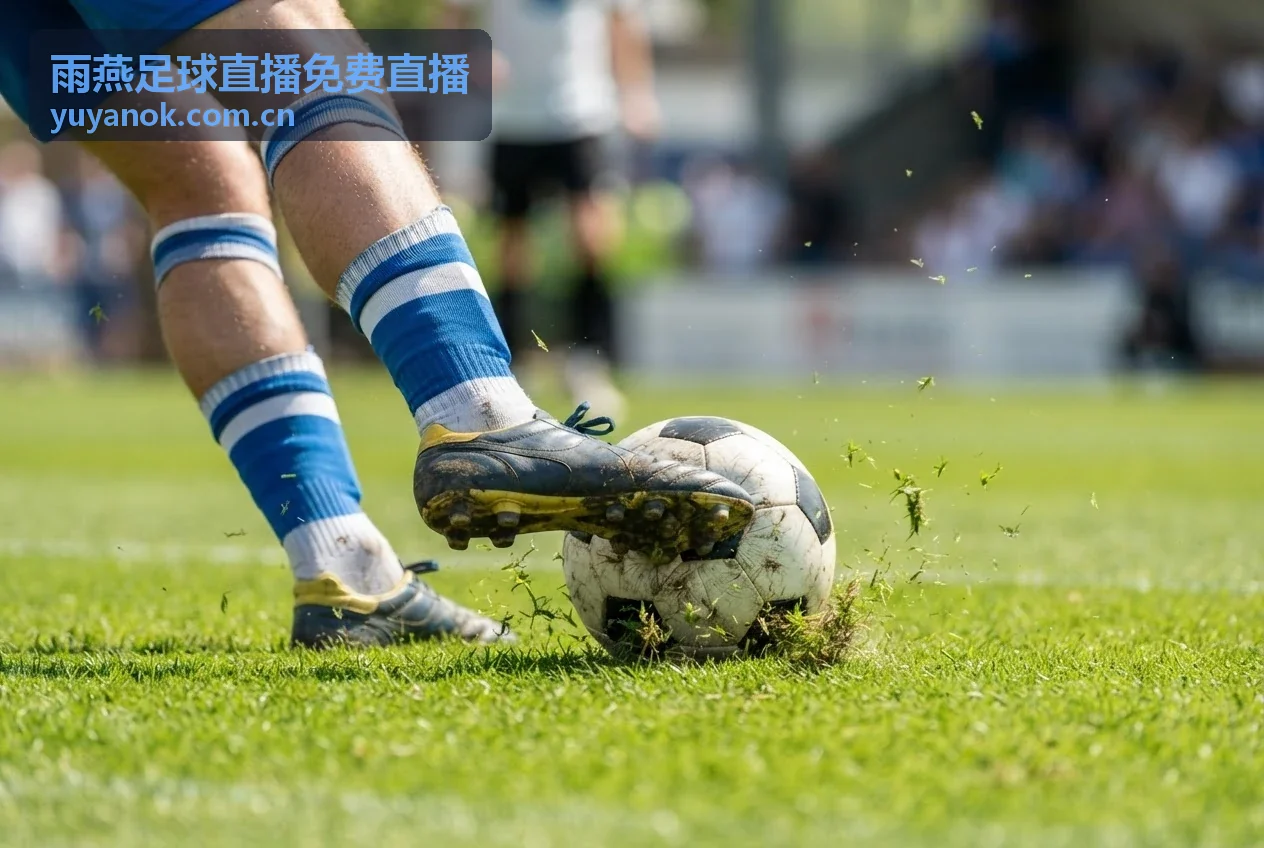 雨燕足球直播免费直播品牌介绍 - 雨燕体育高清直播平台